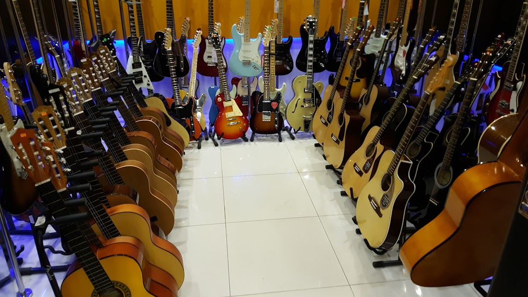 A wide selection of acoustic and electric guitars displayed in a retail store.