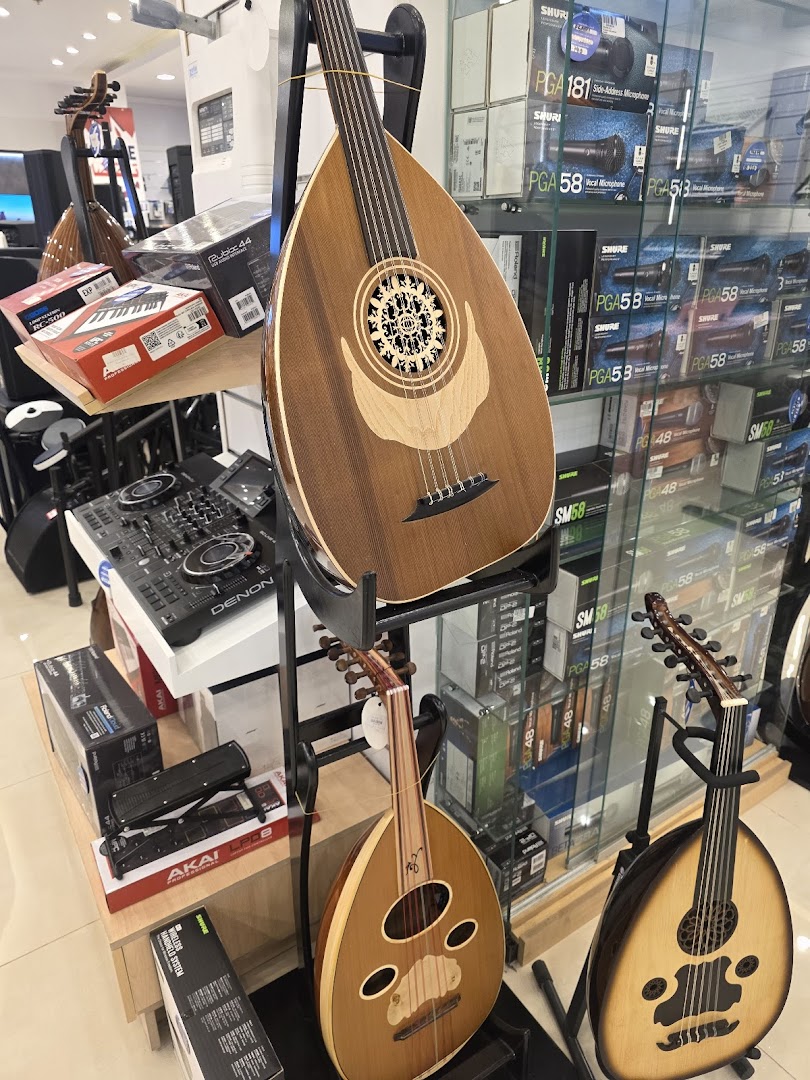 A display of traditional stringed instruments and audio equipment in a retail store.