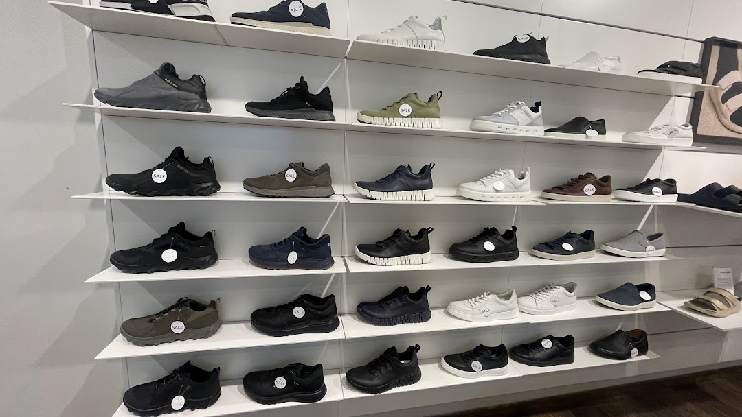 A wall display showcasing a variety of ECCO brand shoes on white shelves.