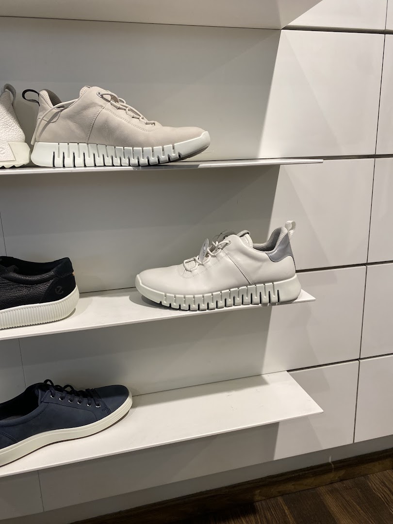 Stylish ECCO sneakers displayed on white shelves in a retail store.