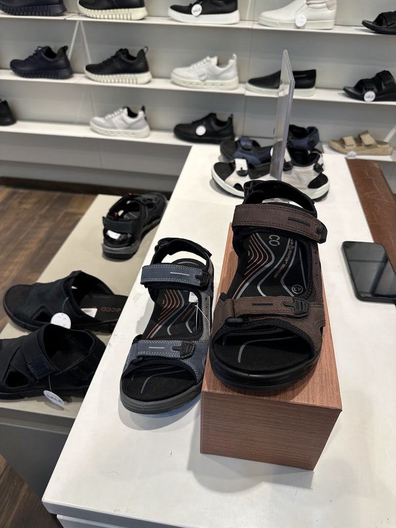 A display of ECCO sandals and shoes on shelves and a table.