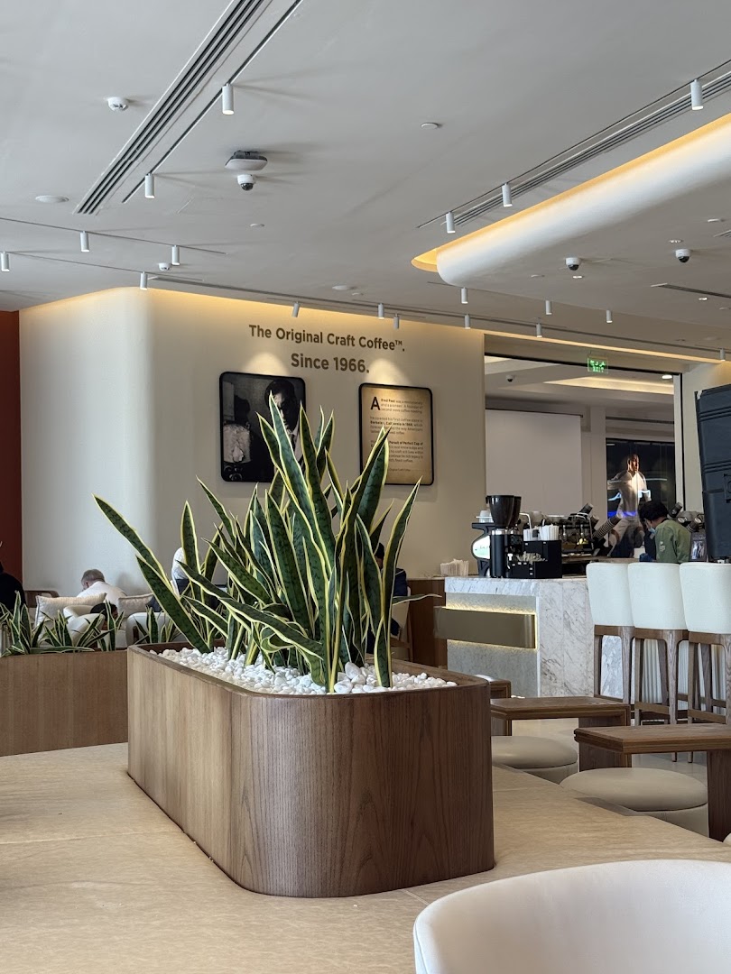 Interior of a modern coffee shop with plants and seating.