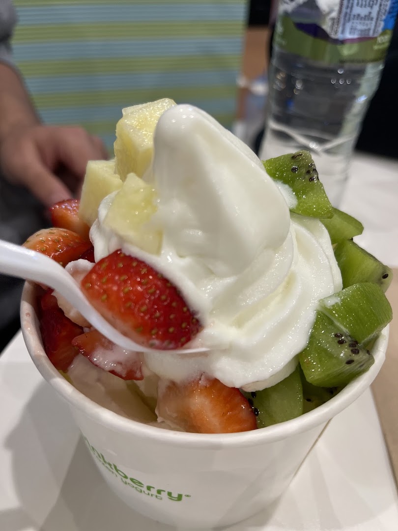 A cup of frozen yogurt topped with fresh strawberries, kiwi, and pineapple.
