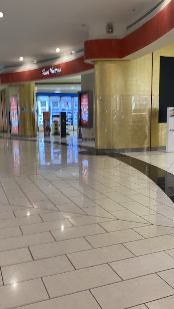 A view of a shopping mall interior with a store called 'Pink Gallery' visible.