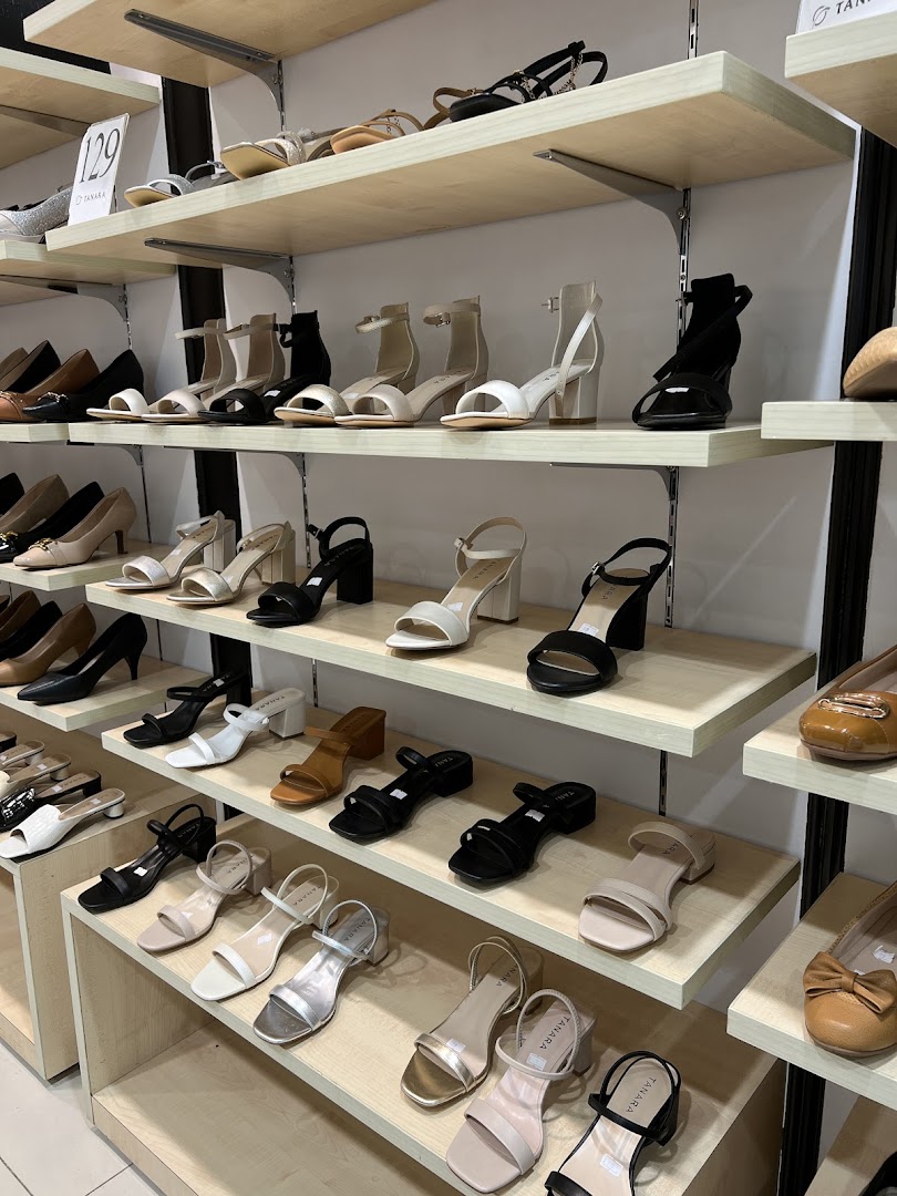 A well-organized display of various women's shoes on multiple shelves.